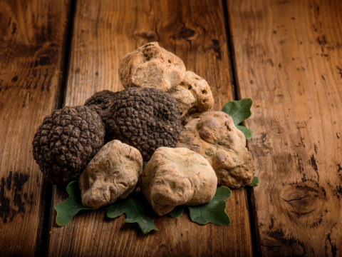 Passione tartufo : 5 regole d'oro per gustarlo al meglio