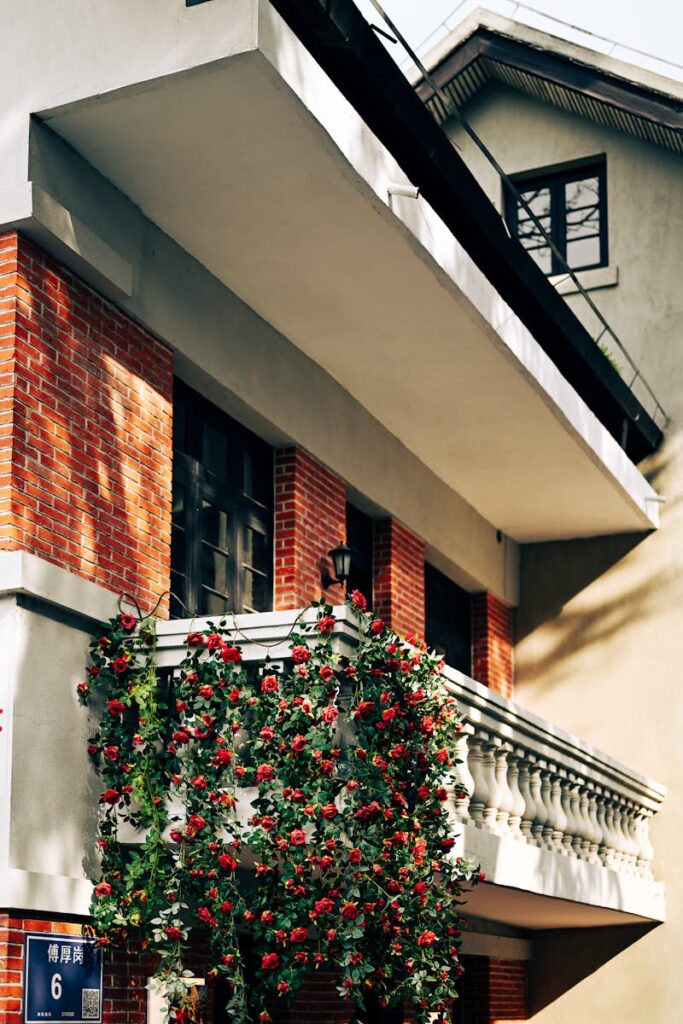 rose sul balcone