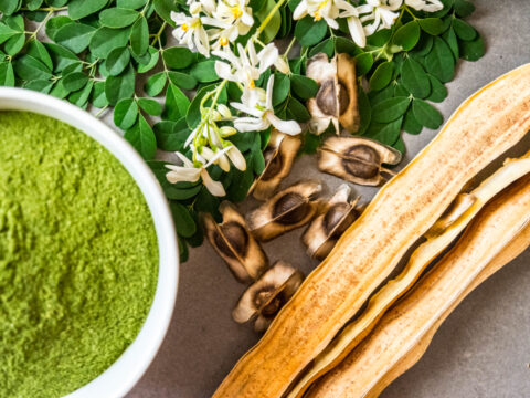 Moringa: le cose da sapere sul superfood più trendy per salute e bellezza