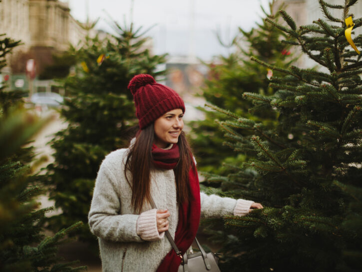 Come scegliere l'albero di Natale da esterno