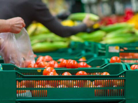 Sacchetti bio per frutta e verdura: tutte le domande