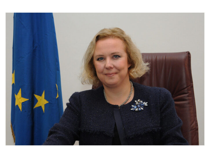 Beatrice Covassi, Capo della Rappresentanza in Italia della Commissione europea