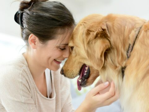 Artrosi nel cane: 10 consigli per affrontarla