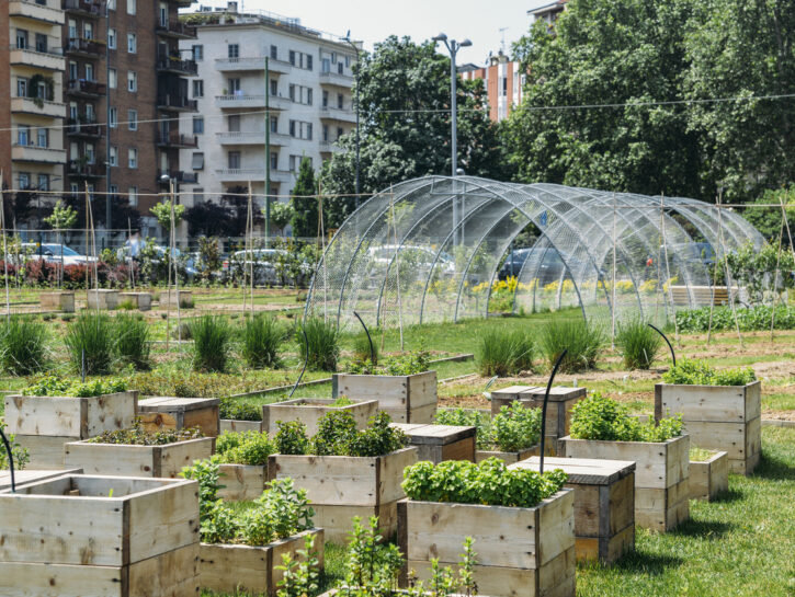 10 consigli per organizzare un orto metropolitano