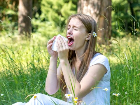 Il calendario di pollini e allergie per Nord, Sud e Centro Italia