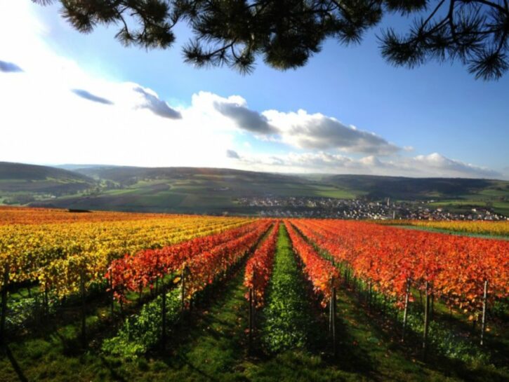 Foliage germania