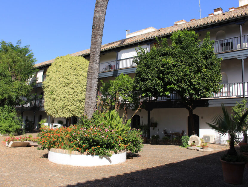 Casa-albergo-giardino-alberi