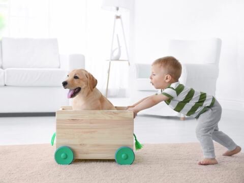 È sbagliato lasciare i bambini da soli?