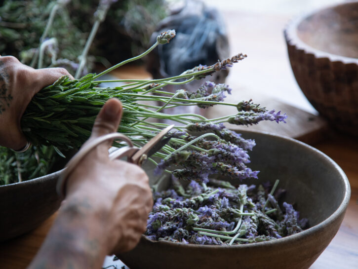 Profumo d'estate tutto l'anno? Usa i fiori di lavanda secchi