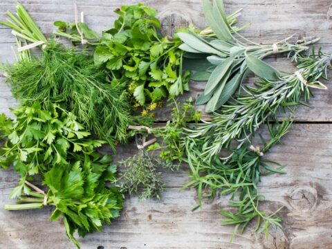 Guida alle erbe aromatiche: come usarle in cucina