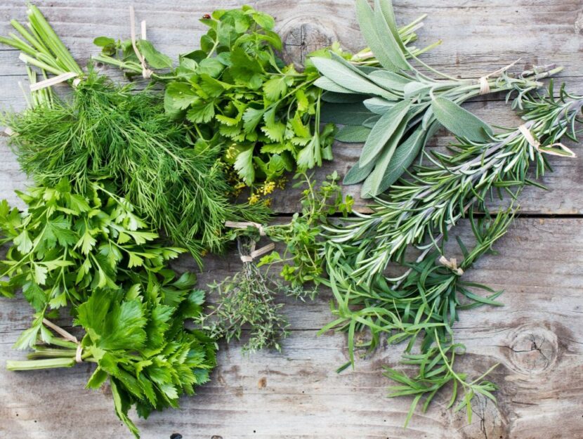 Come usare le erbe aromatiche in cucina: proprietà e ricette - Donna Moderna