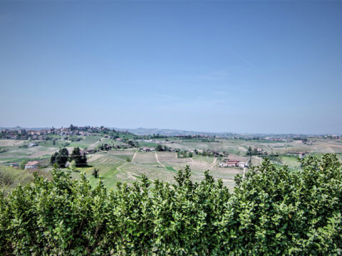 Azienda Agricola Castagnero