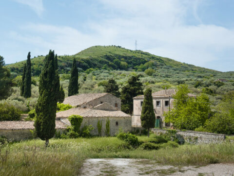 Oli Vernèra, tutto il sapore della campagna siciliana