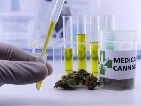 Cannabis, i farmaci sono insufficienti in tutta Italia