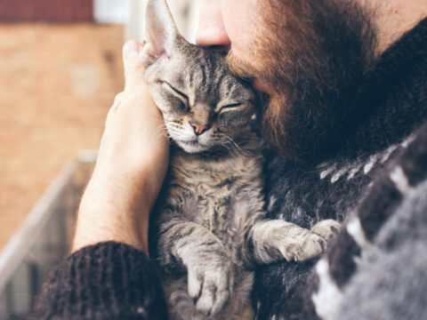 Giornata del Gatto 2020: perché i gatti sono animali magici e si festeggiano il 17 Febbraio