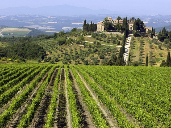 Castel giocondo vista