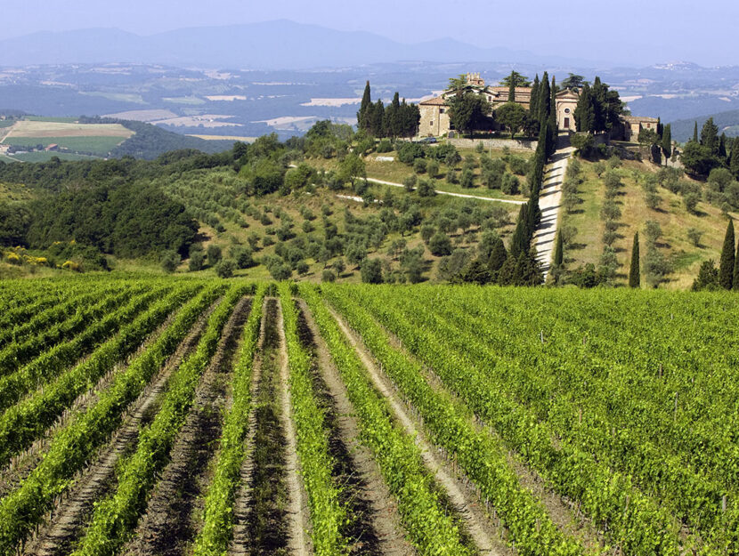 Castel giocondo vista