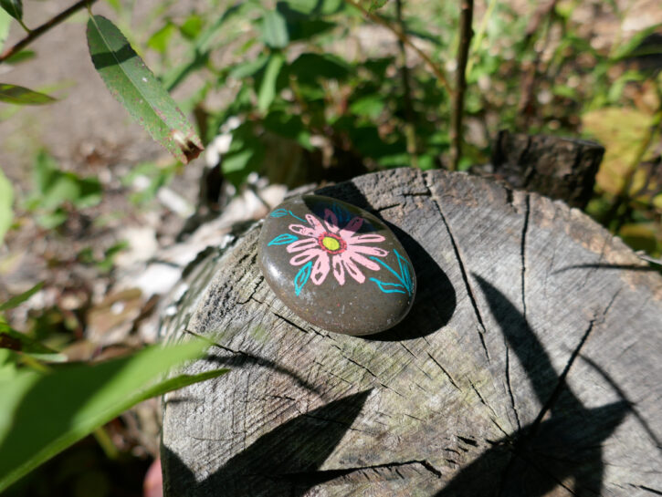 Come dipingere i sassi del giardino