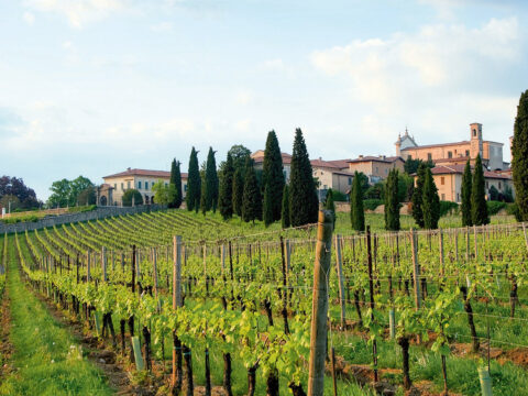 Tra i vigneti della Franciacorta