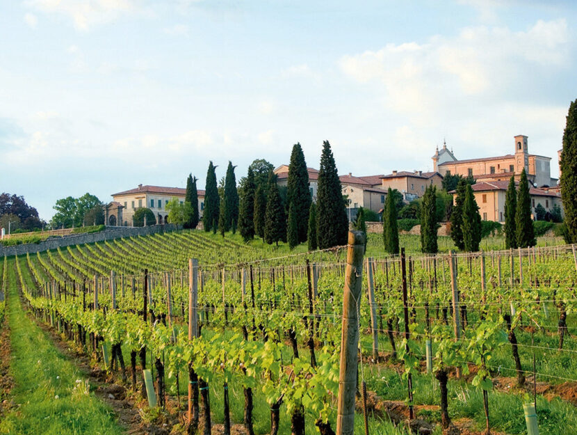 Eccellenze vigneti Franciacorta