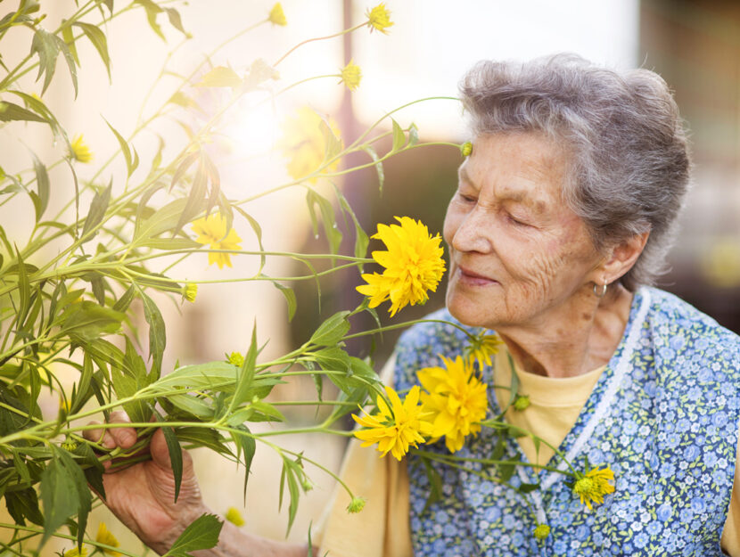 Donna anziana fiori gialli