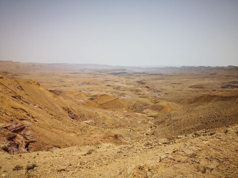 La corsa nel deserto del Negev