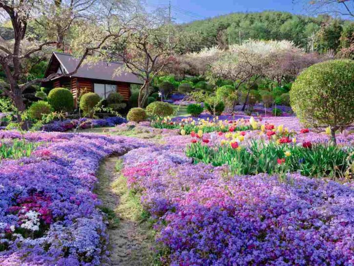 Come realizzare un giardino delle fate
