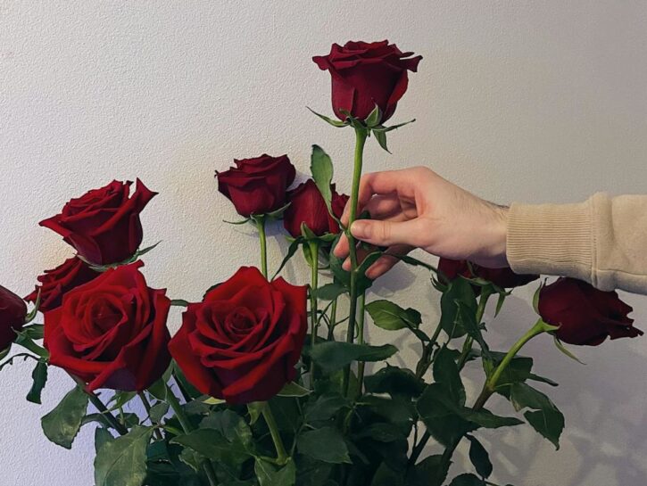 10 consigli per potare le rose