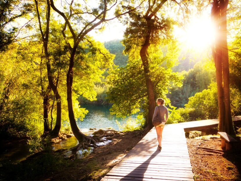 bagno nella foresta