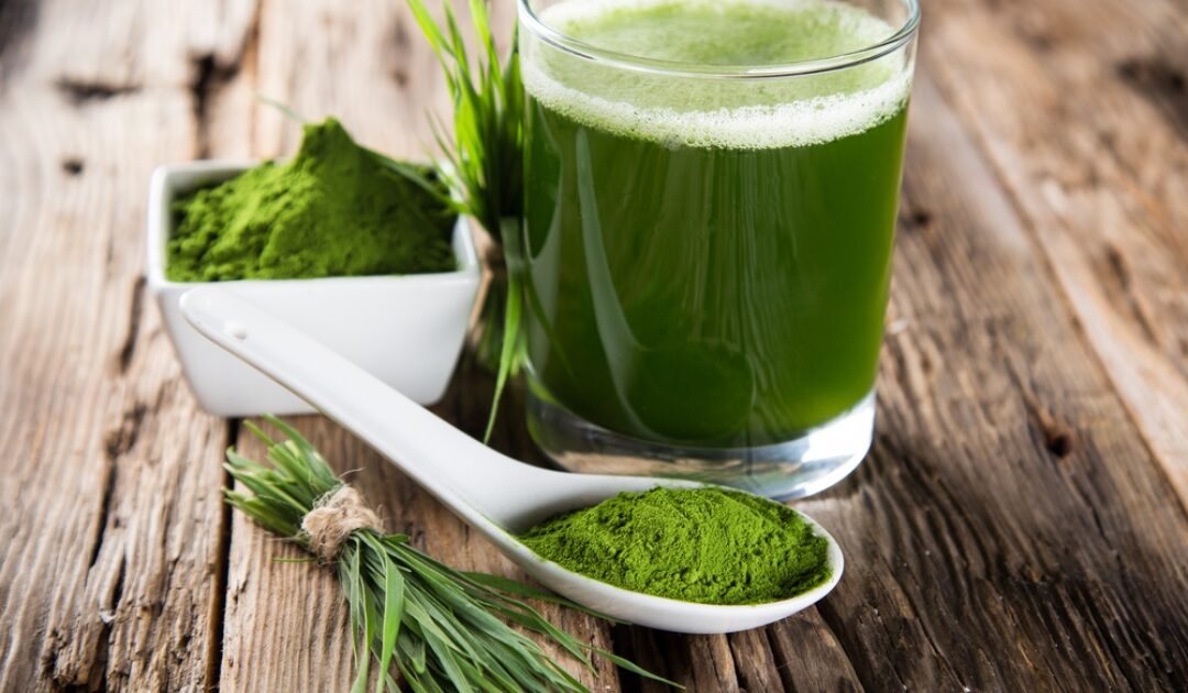 Alga Spirulina Come si usa e ricette Benefici Per dimagrire