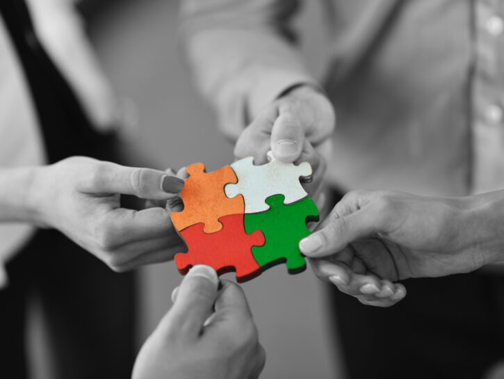 Solidarieta gruppo persone puzzle
