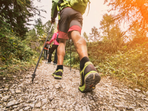 Le istruzioni per escursioni sicure in montagna