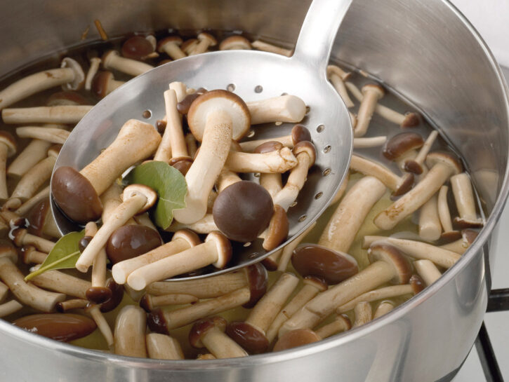 Cucinare i funghi chiodini