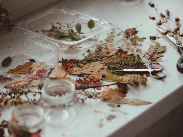 Autunno in casa: idee facili e chic con le foglie secche