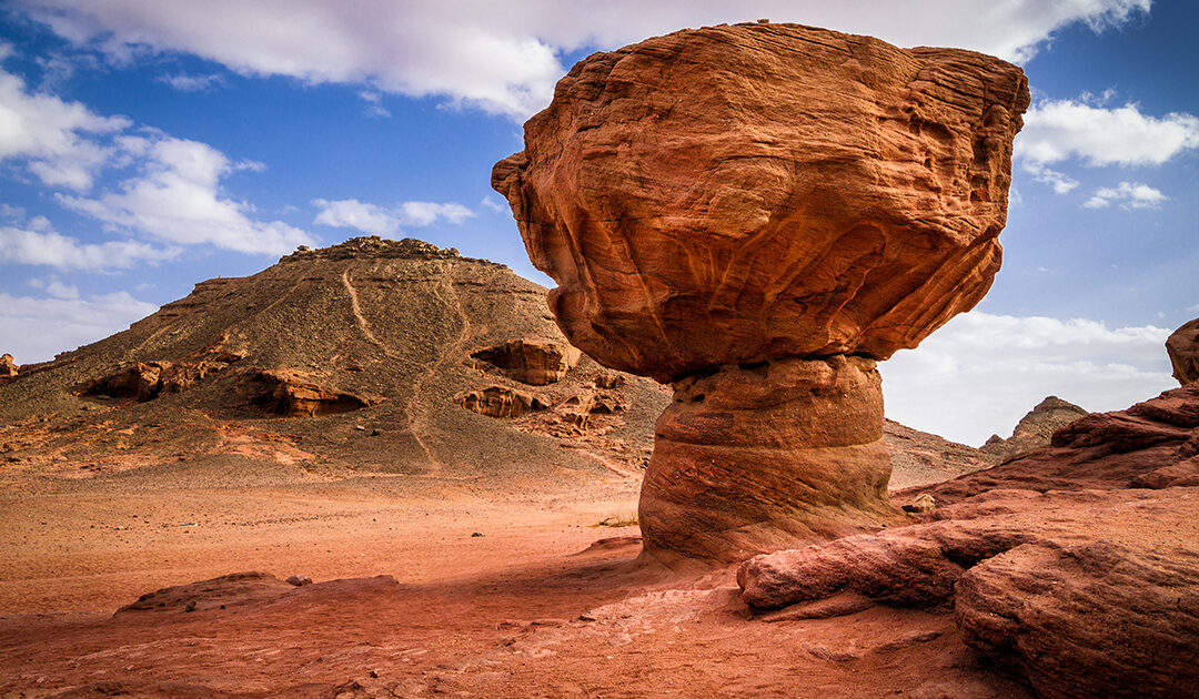 Il deserto del Negev si accende