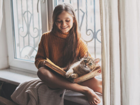 Scegli il gatto ideale per tuo figlio