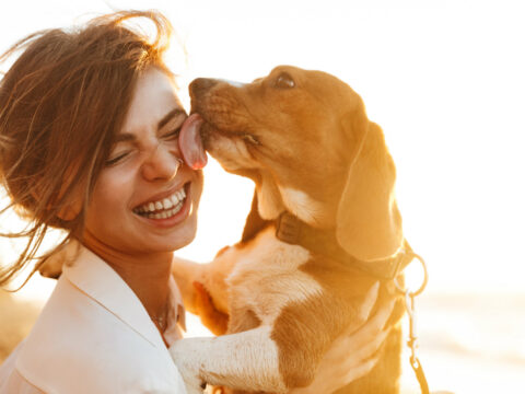 Cosa vuol dire avere un cane nella propria vita?