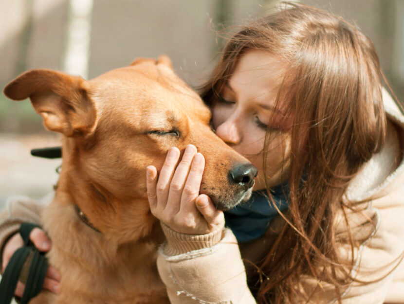 Guida per prendere un cane | Tutte le cose da sapere