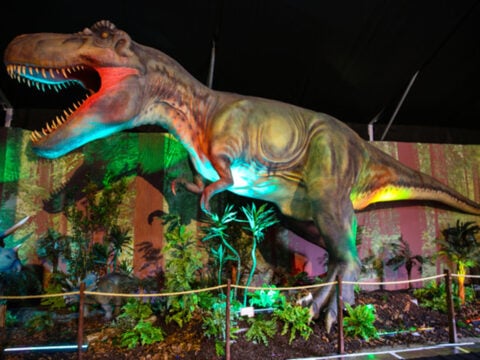 DINOSAUR INVASION - fino al 3 Febbraio 2019 alla Fabbrica del Vapore a Milano