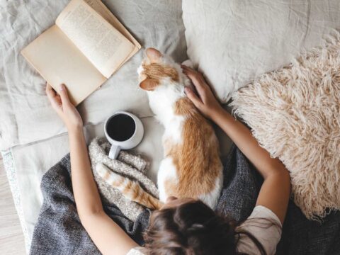 10 regali originali da comprare online per le amanti dei gatti