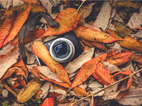 Foto perfette anche in autunno: i consigli degli instagrammer