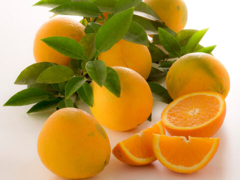 Come scegliere le arance: tutte le varietà a confronto e come usarle