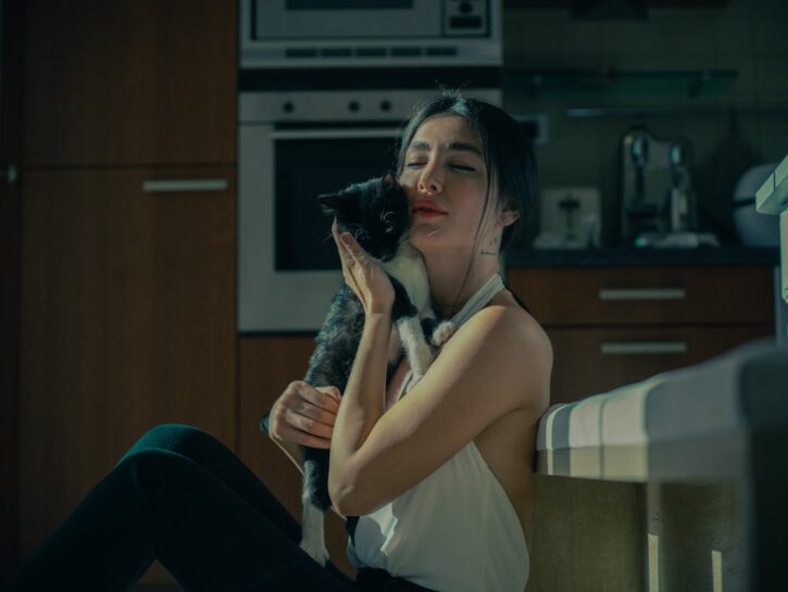 Come non far soffrire il caldo ai gatti