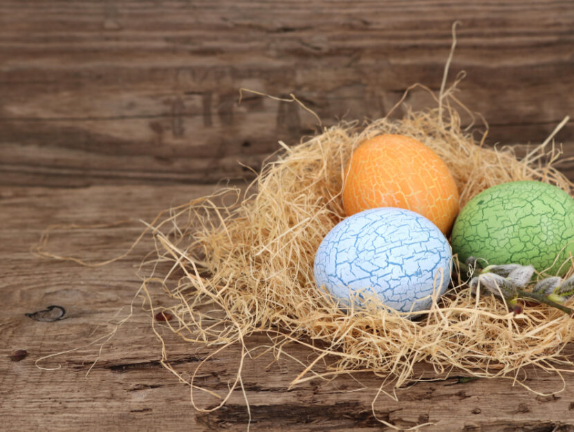Uova di Pasqua marmorizzate nel nido