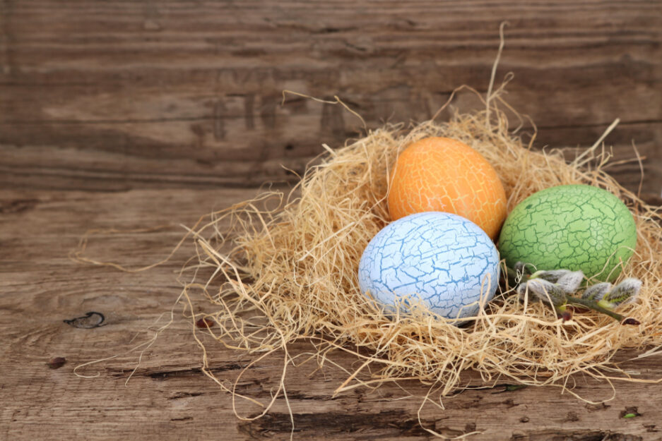 Uova di Pasqua marmorizzate nel nido