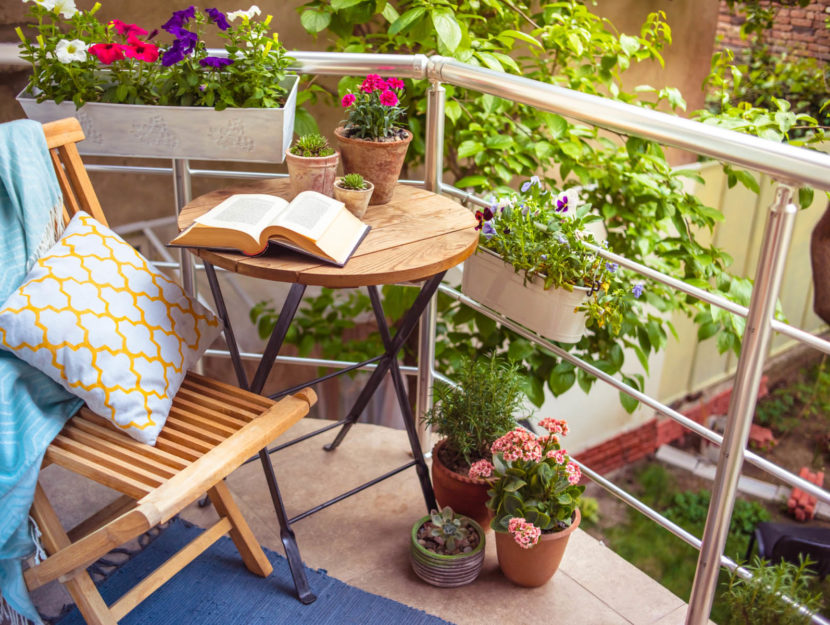 Fiori da balcone