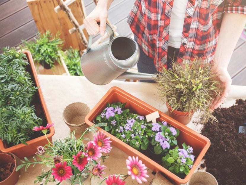 lavori di giardinaggio aprile