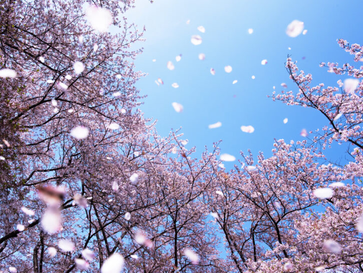 Meteo: il dietro front della primavera anomala