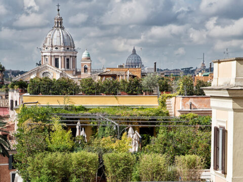 Un giardino sul tetto ti fa risparmiare