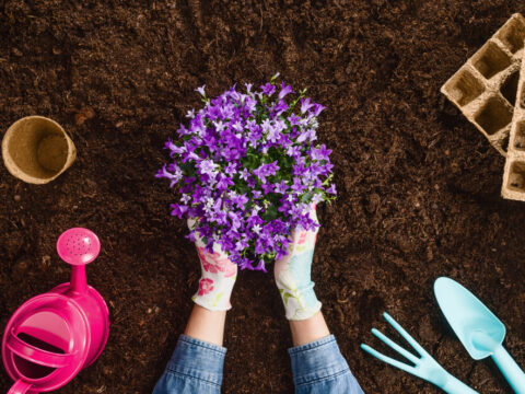 I lavori di maggio in giardino e sul balcone